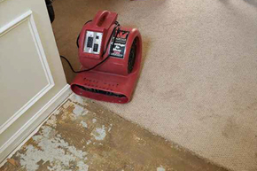 CARPET CLEANING & TILE CLEANING