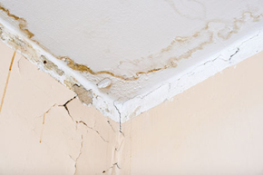 WATER DAMAGE RESTORATION